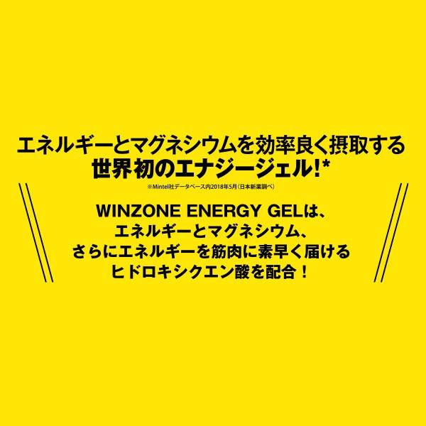 マラソン サプリ エナジージェル ウィンゾーン WINZONE ENERGY GEL 4種類から自由に組合せ可能 3袋セット 補給食 スポーツ｜nippon-shinyaku｜03