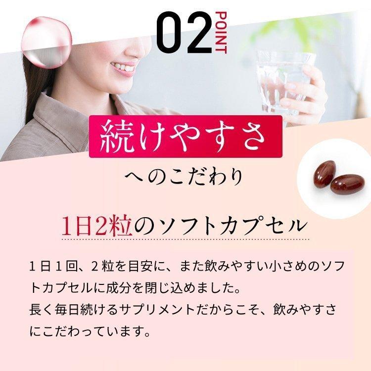製薬会社の糖化サプリ マンゴスティア 機能性表示食品 糖化ケア 抗糖化
