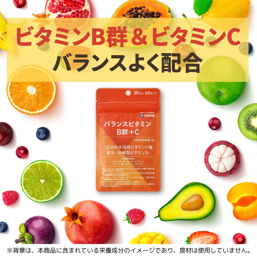 日本新薬 ビタミンB群+ビタミンC お得な3袋セット(90日分) 栄養 日本新薬 ビタミンB群+ビタミンC お得な3袋セット(90日分) 栄養