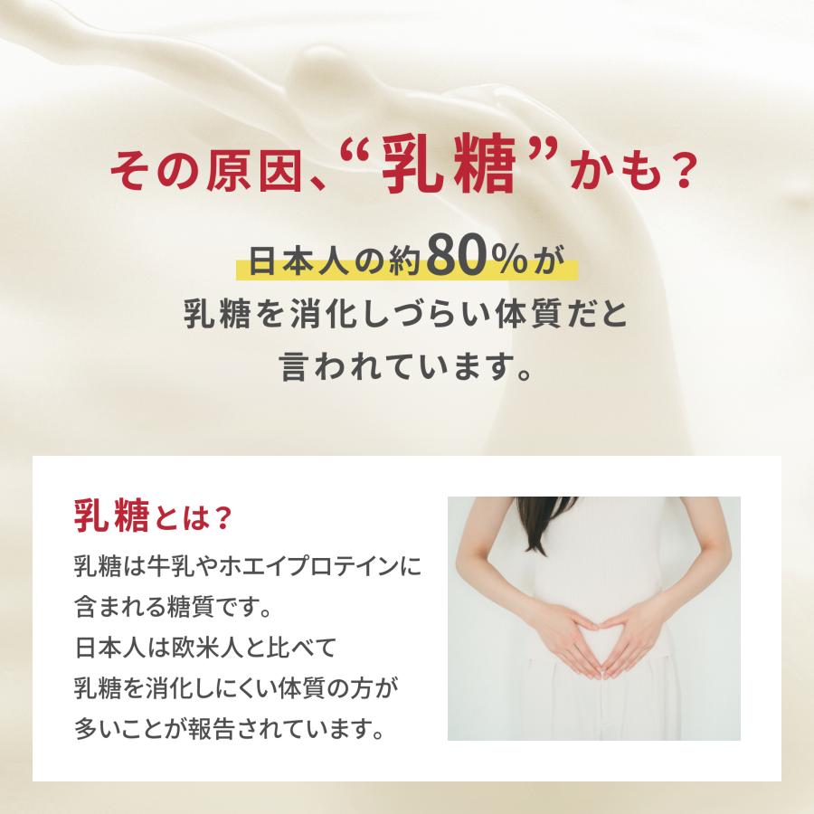 WINZONE おなかにやさしいホエイプロテイン 濃厚リッチチョコ風味 乳糖