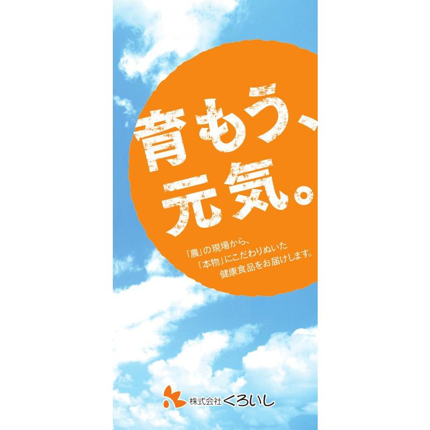 手づくり卵黄油 （1袋120カプセル） 烏骨鶏卵黄油配合 くろいしの卵黄油 |  | 04