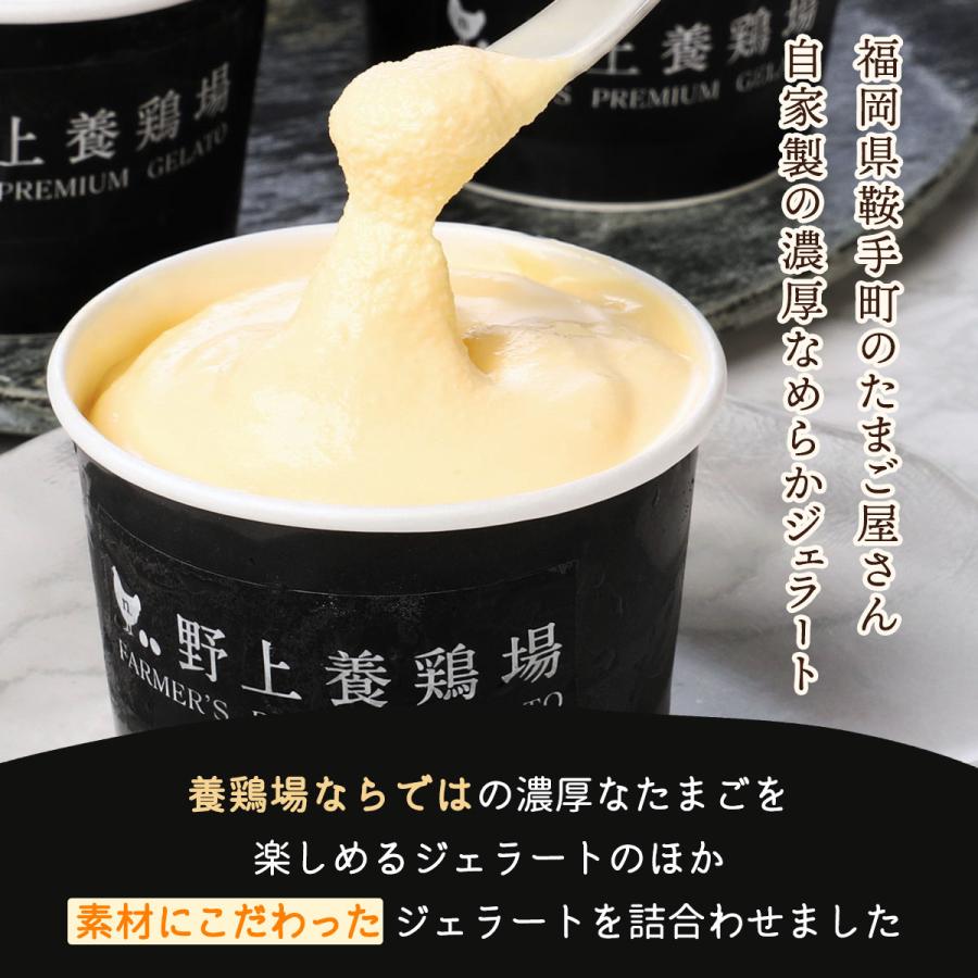 フローズンデザート 野上養鶏場 たまご屋さんの自家製ジェラート詰合せ