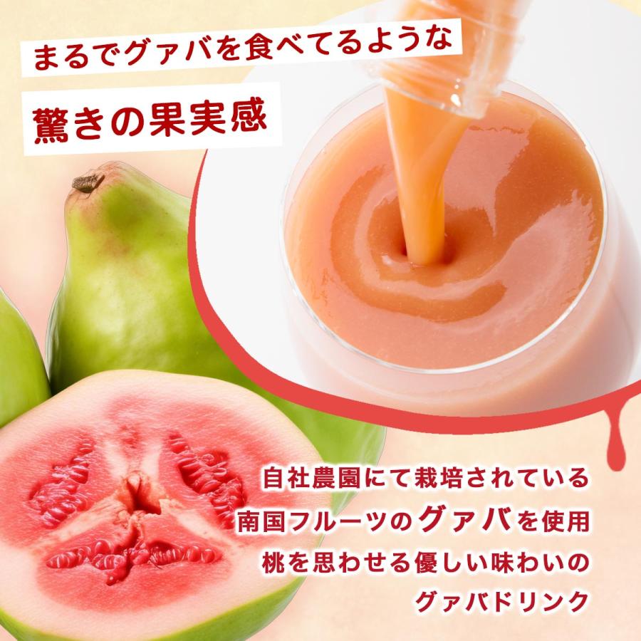 ジュース [宮崎果汁] グァバドリンク3本セット(GGG) 720ml×3本