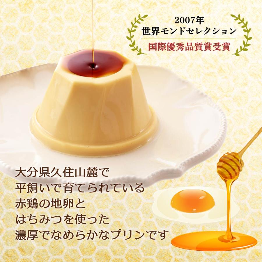 プリン [菊家] 地卵 はちみつぷりん 9個入 /お土産 お菓子 おやつ お