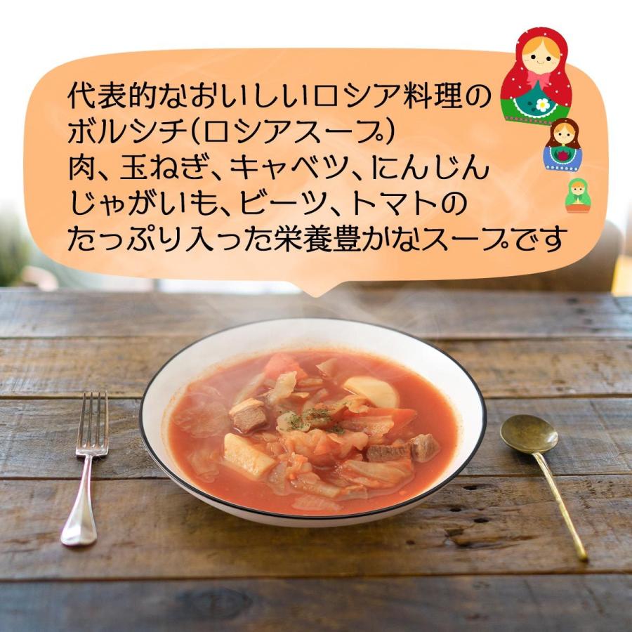 ふくや] 食品 ロシアンスープ ツンドラ ボルシチ 250g/ロシア料理