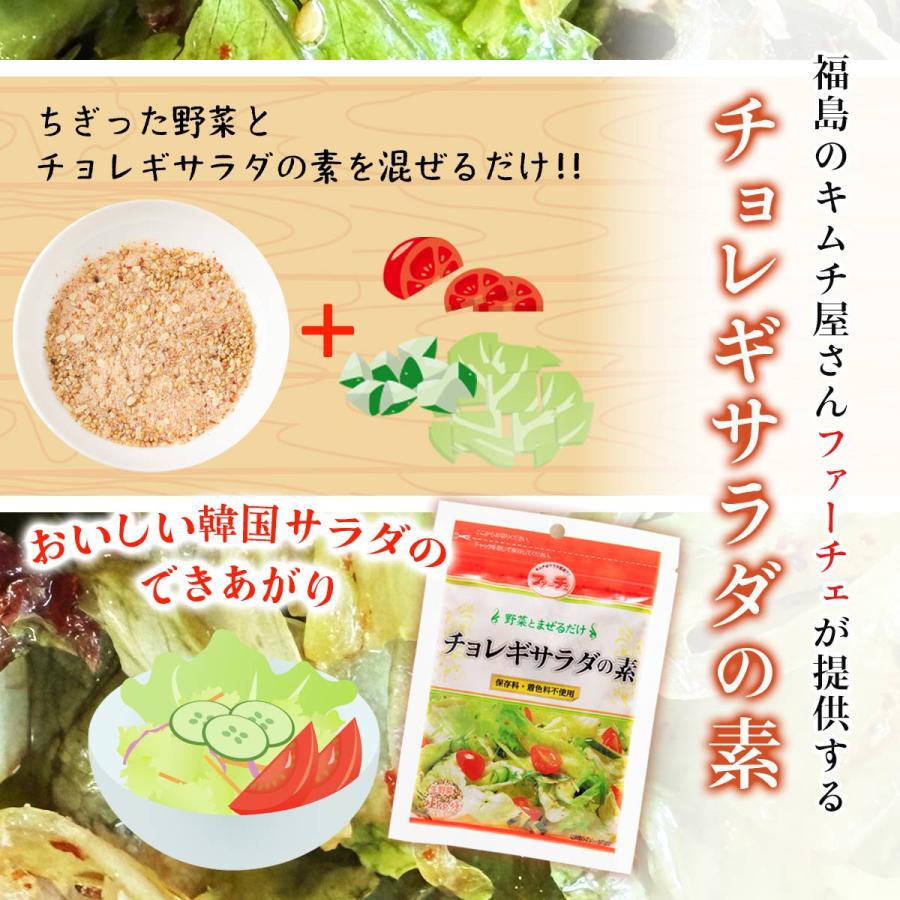 料理の素 送料無料 [ファーチェフーズ] チョレギサラダの素 80g /野菜