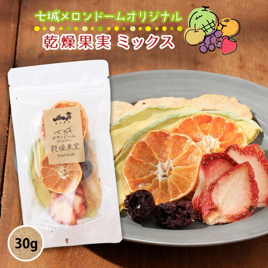 ドライフルーツ [七城町特産品センター] 七城メロンドームオリジナル