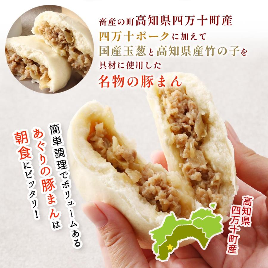 豚まん あぐり窪川 具だくさん豚まん 2個入 /名物 ぶたまん 四万十