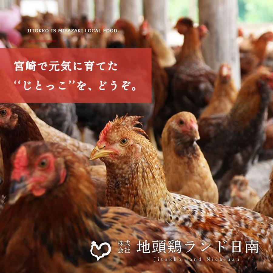市販 宮崎県 温めるだけ おいしい お取り寄せ グルメ ギフト 地頭鶏ランド日南 みやざき地頭鶏 炭火焼 160g Cisama Sc Gov Br