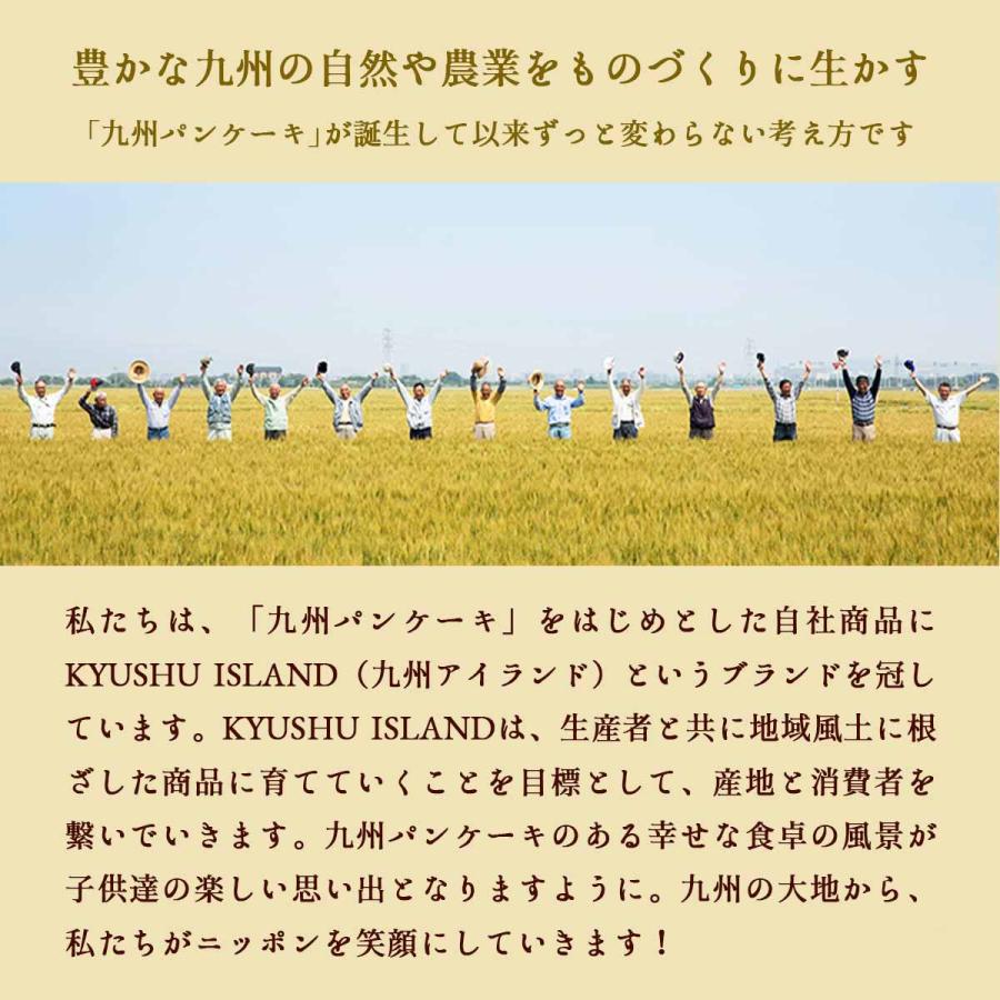 送料無料 [九州テーブル] ミックス粉 九州パンケーキ 200g /九州産 大人気 ふわもち新食感 ホットケーキミックス アルミフリー 朝食 おやつ｜nipponmarche｜09