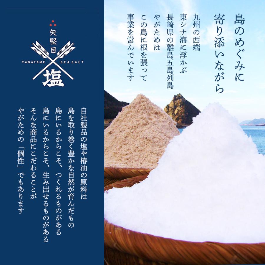 矢堅目の塩本舗] 海水塩 New-STANDARD