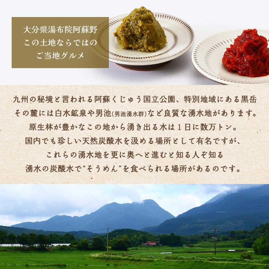 柚子胡椒 旅館黒嶽荘 1年熟成ゆずごしょう 40g /九州 お土産 ゆず 大分