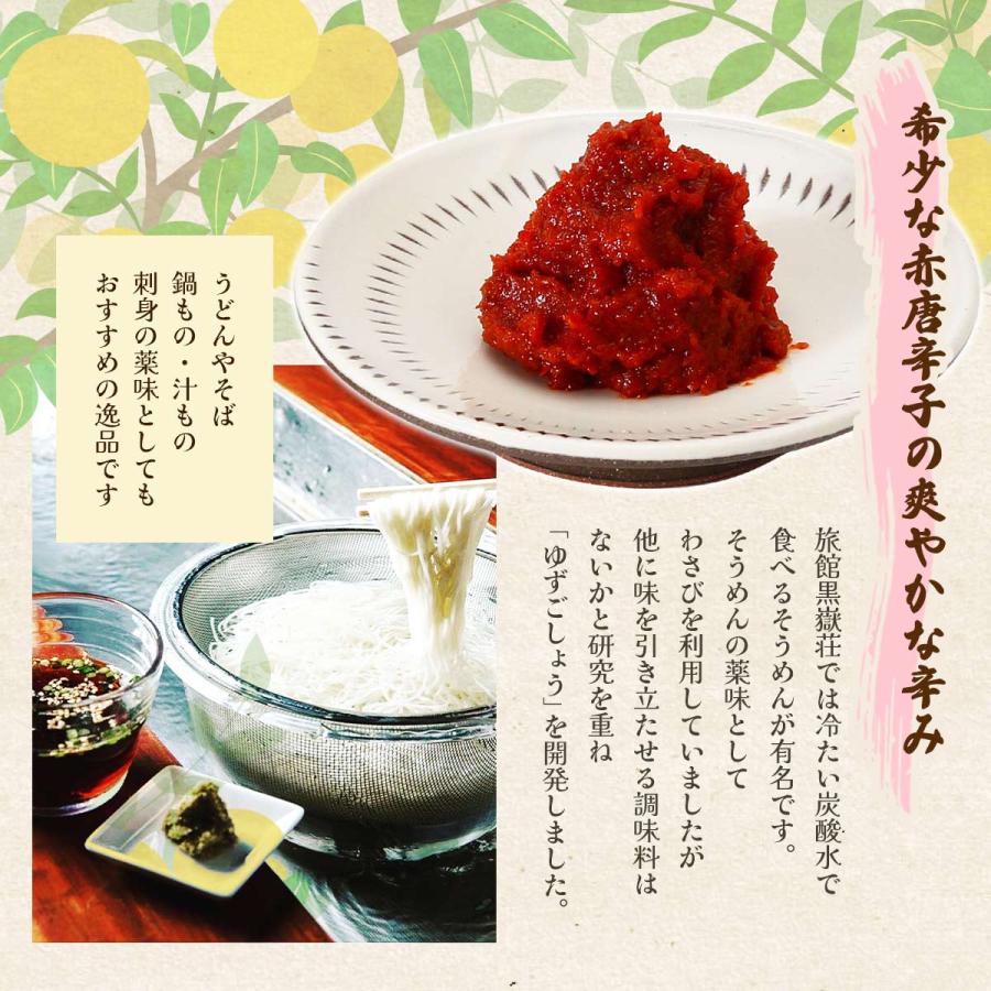 柚子胡椒 旅館黒嶽荘 完熟ゆずごしょう 40g /九州 お土産 ゆず 大分県