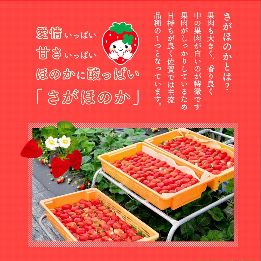 いちご香☆ん ドライフルーツ 香月さんちのいちご畑 さがほのかドライいちご 15g