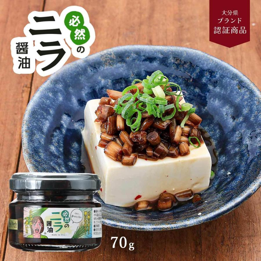 醤油甕？ 九谷焼 高級 陶磁器 醤油差し 椿に鳥 (Kutani Soy Sauce Dispenser)汁