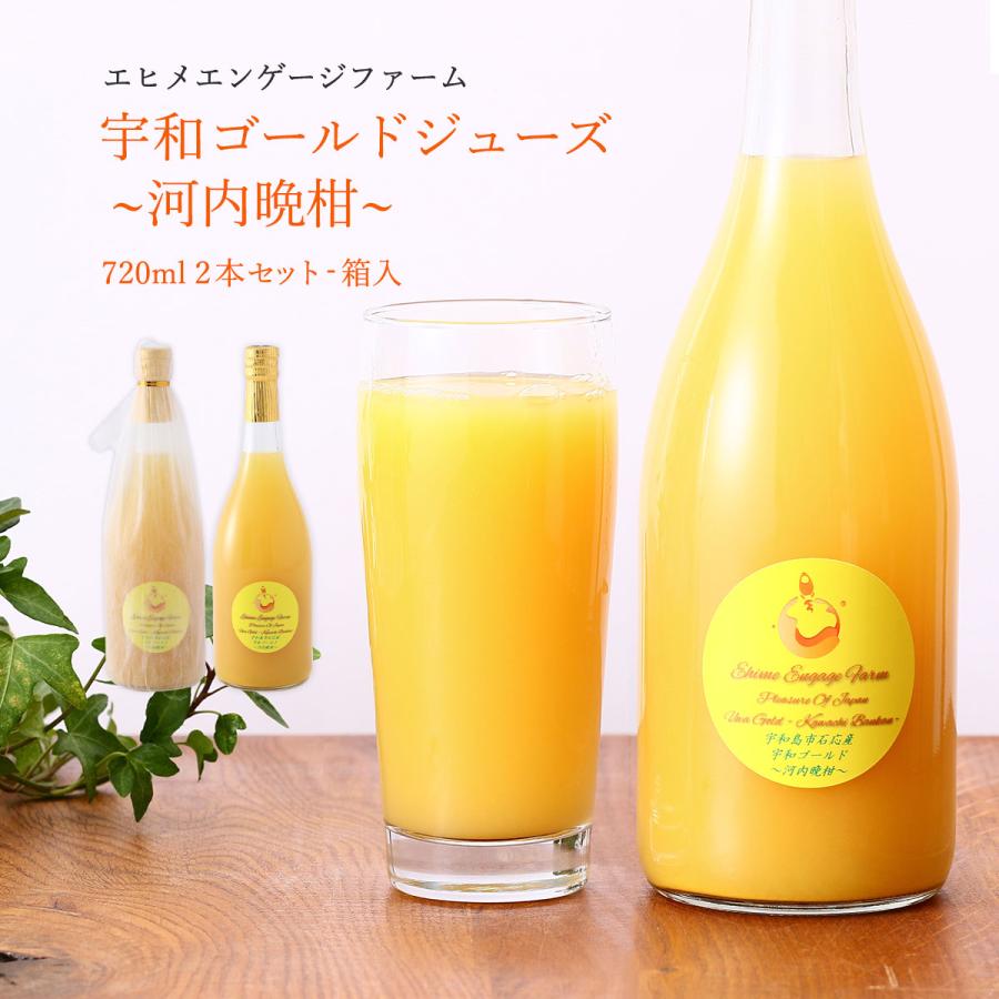 オレンジジュースギフト 送料無料 宇和ゴールドジュース(河内晩柑