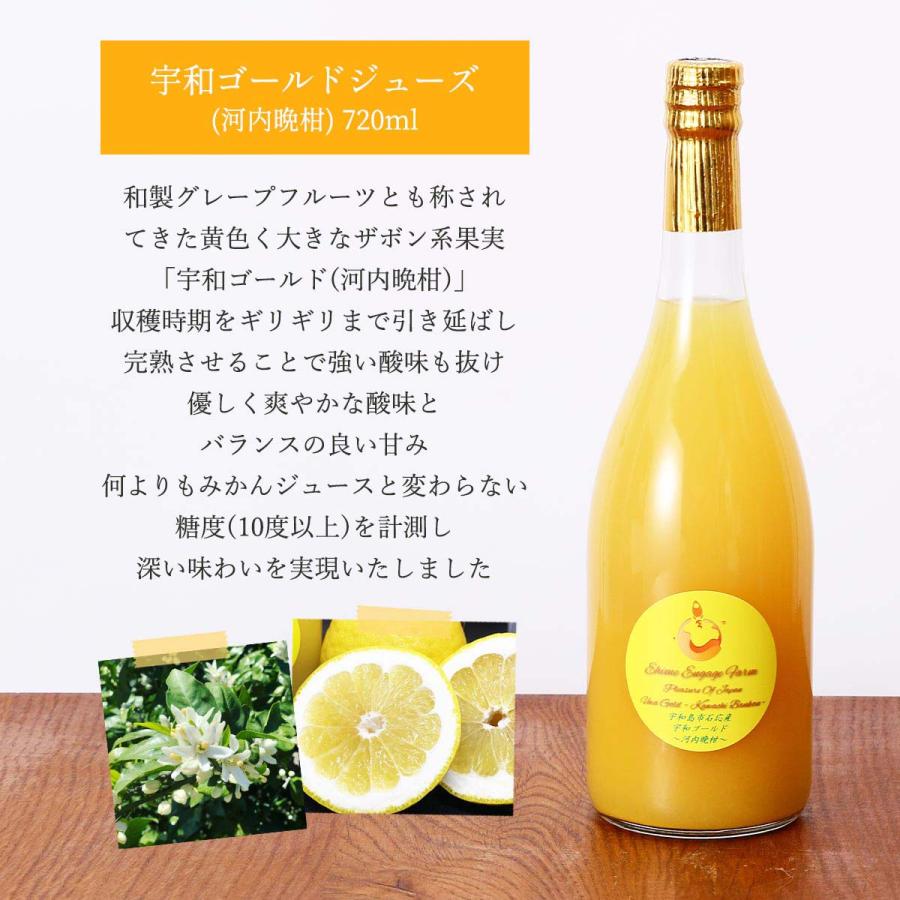 オレンジジュースギフト 送料無料 宇和ゴールドジュース(河内晩柑 