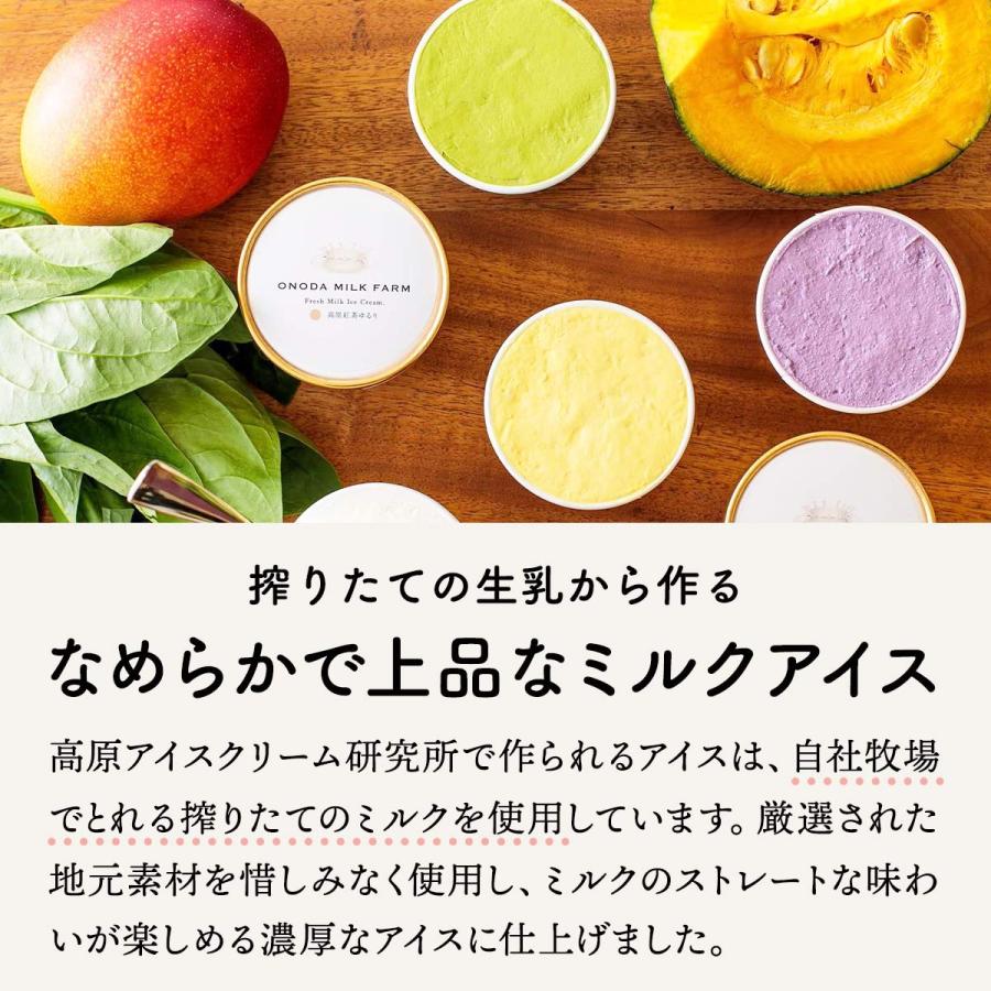 ギフトセット 高原アイスクリーム研究所 ミニパフェ・アイス・どら