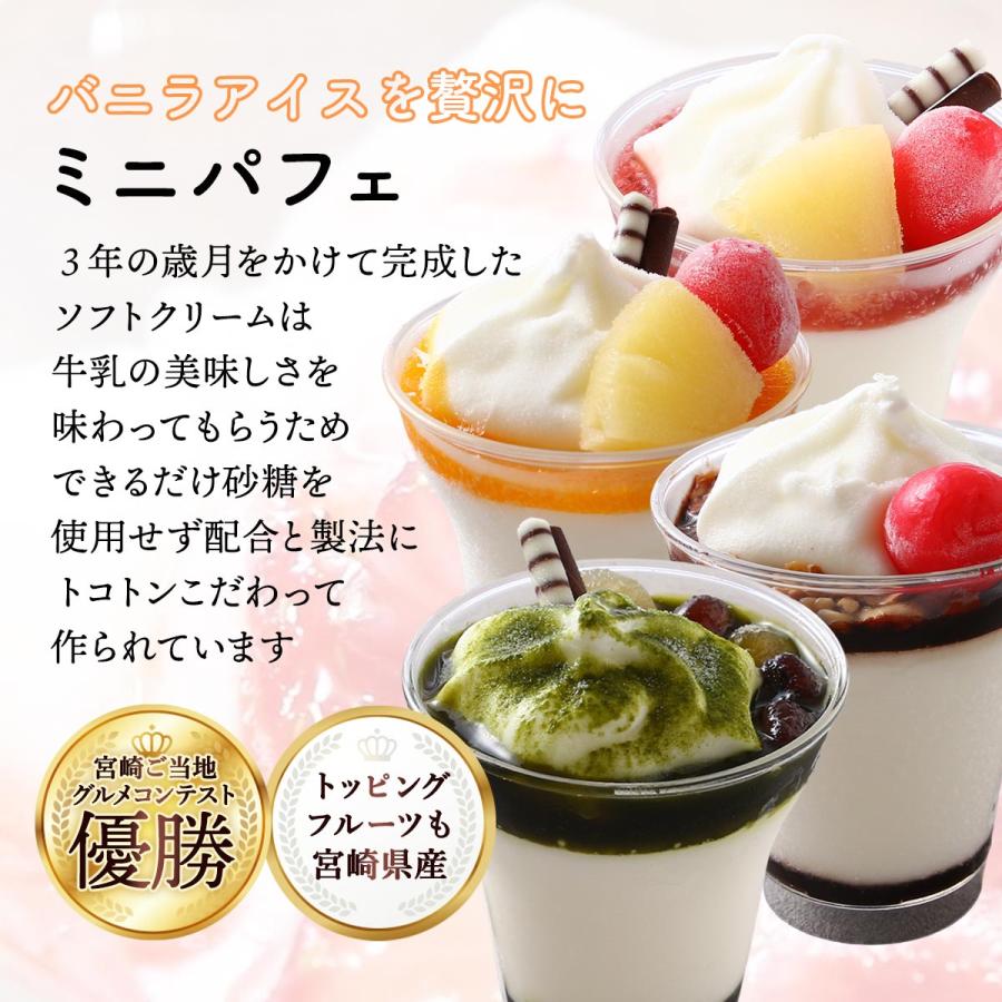 ギフトセット 高原アイスクリーム研究所 ミニパフェ・アイス・どら