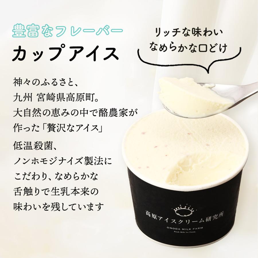ギフトセット 高原アイスクリーム研究所 ミニパフェ・アイス・どら