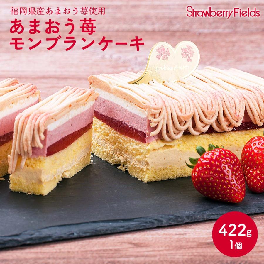 ケーキ StrawberryFields 福岡県産あまおう苺モンブランケーキ 1個