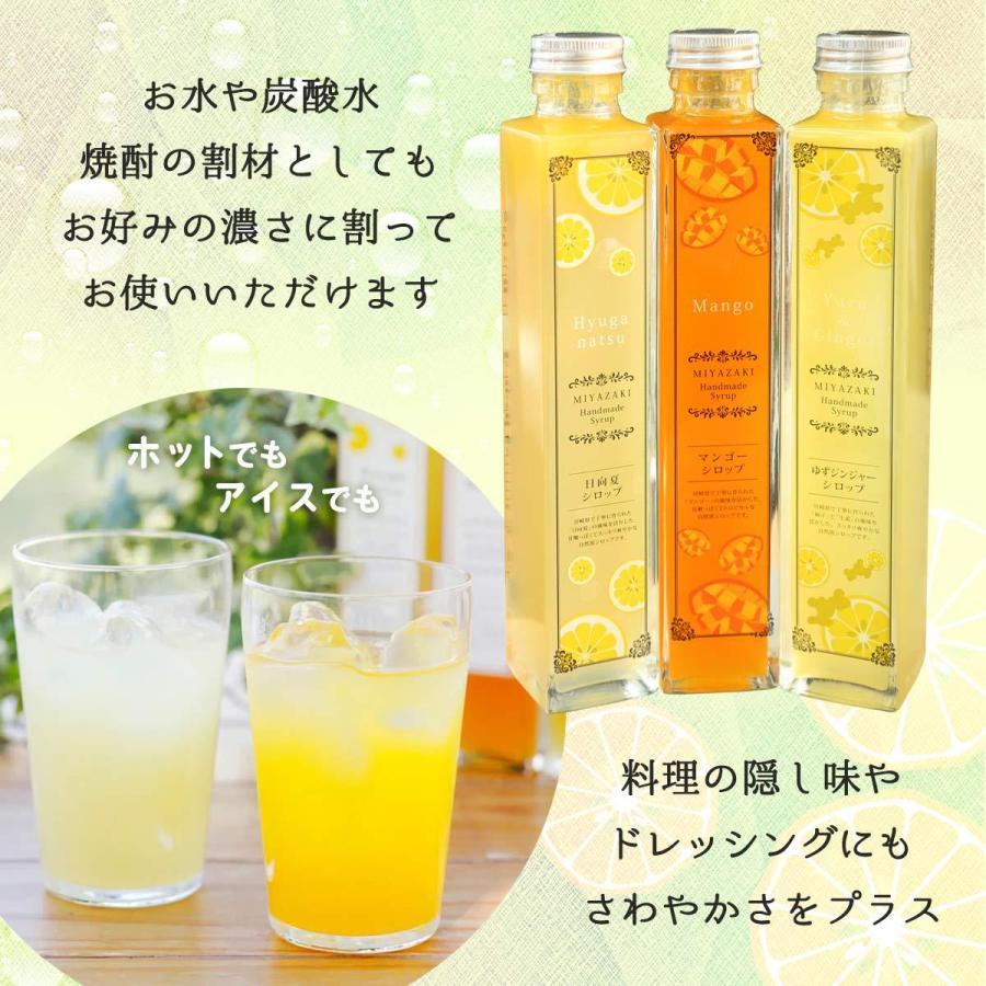 シロップ 創未家 日向夏シロップ 250g /MIYAZAKI HANDMADE SYRUP