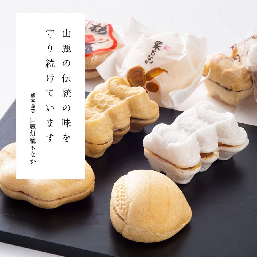 早瀬錦堂] 最中 山鹿灯籠もなか 錦 12個 /ギフト 熊本 和菓子 モナカ