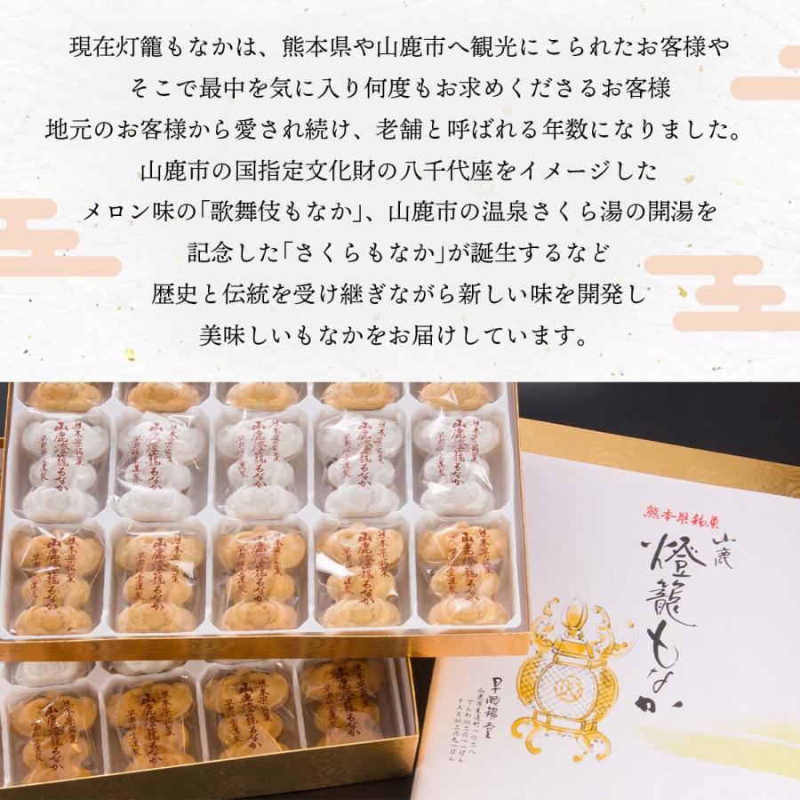 早瀬錦堂] 最中 山鹿灯籠もなか 錦 12個 /ギフト 熊本 和菓子 モナカ