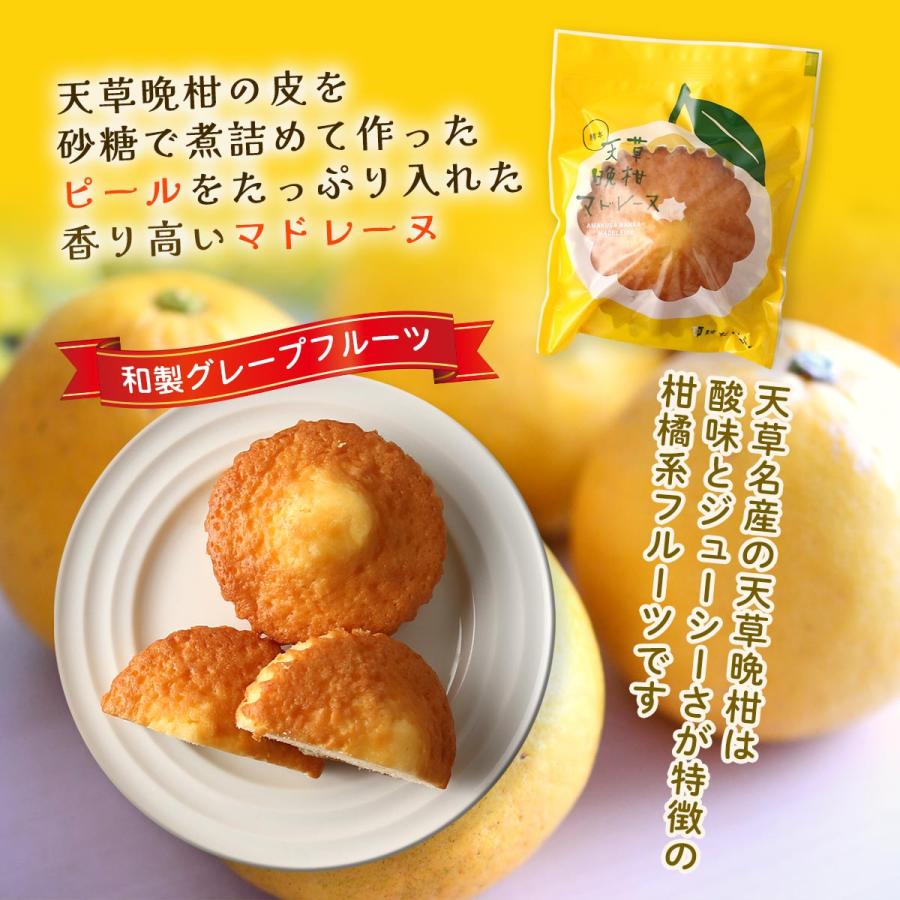 焼菓子 大福商事 天草晩柑マドレーヌ 10個入り /洋菓子 マドレーヌ