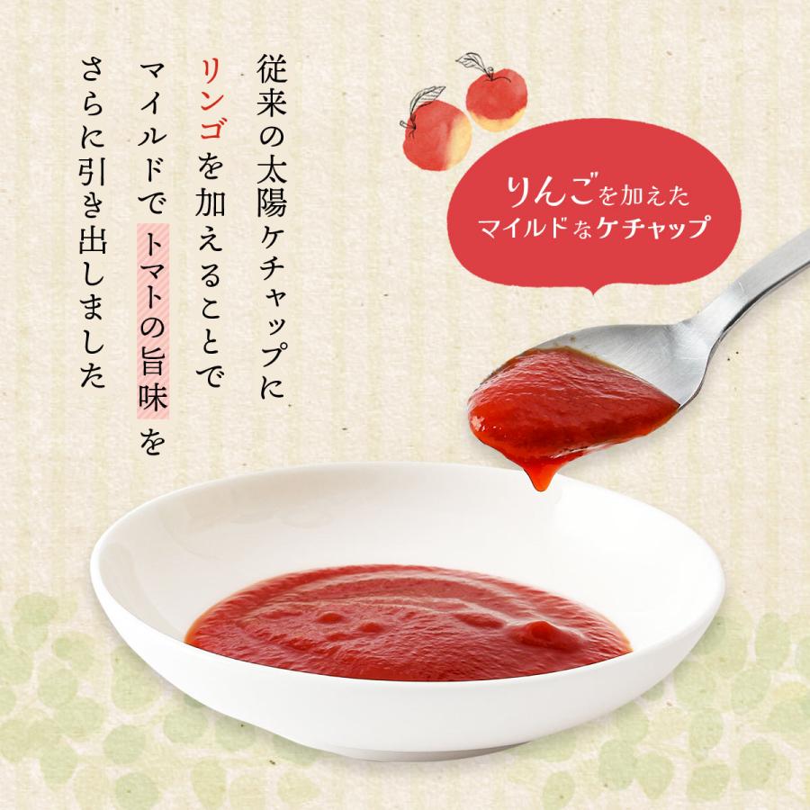 太陽食品工業] ケチャップ 太陽ケチャップ 極 440g /マイルド りんご