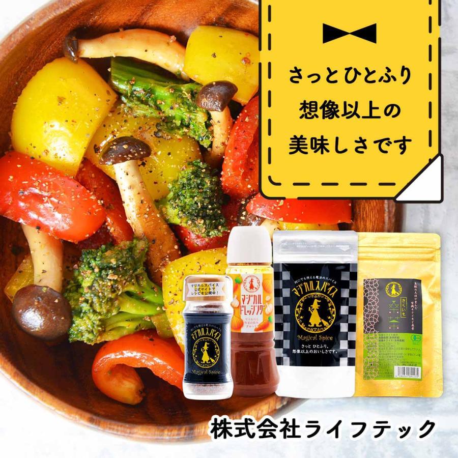 スパイス ライフテック マジカルスパイス ビン 60g /調味料 魔法