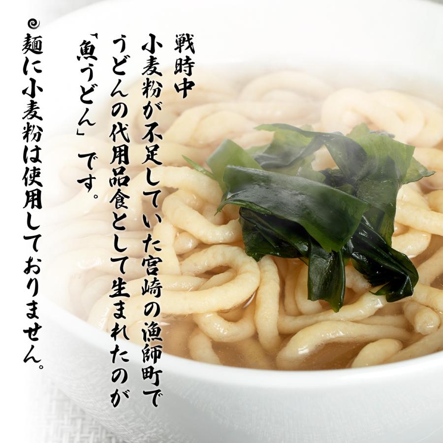 九州 宮崎 日南 郷土料理 お魚麺 ふるさとの味 健扇 宮崎 魚うどん 2g 3 3 にっぽんマルシェyahoo 店 通販 Yahoo ショッピング