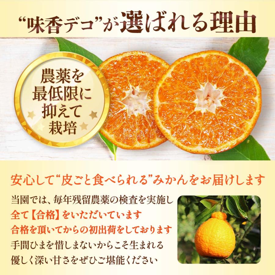 佐賀県産デコポン10kg 送料無料 [恵味香] 味香デコ 10kg 【3月から順次