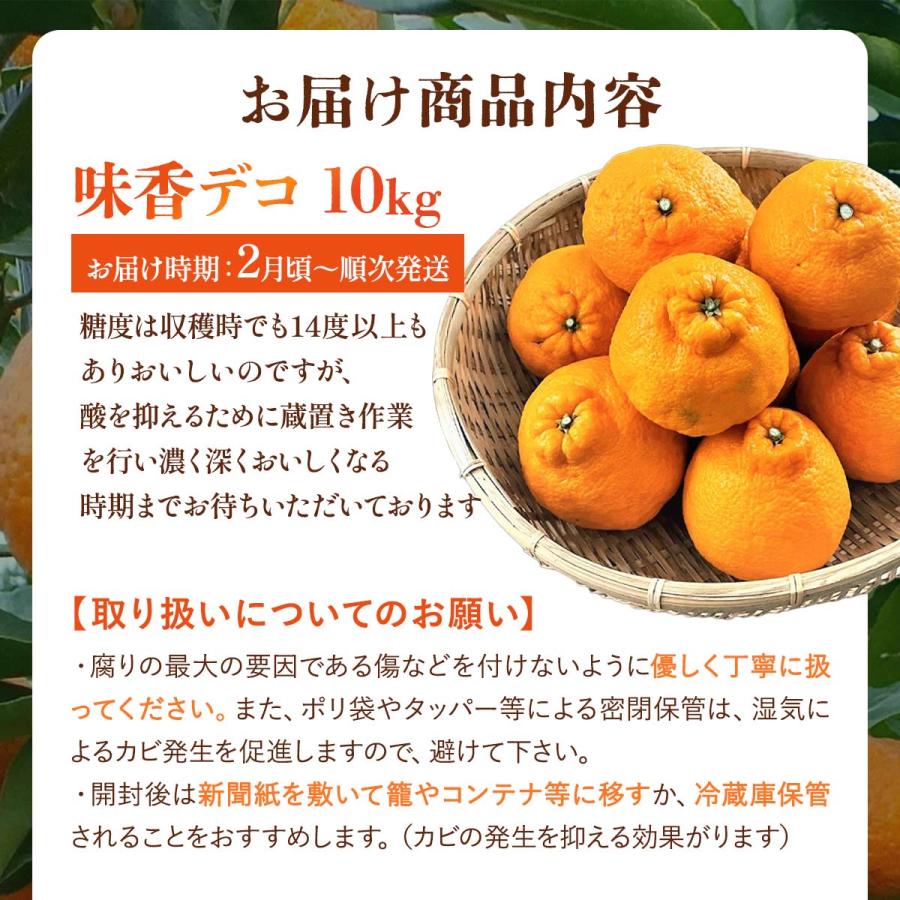 佐賀県産デコポン10kg 送料無料 [恵味香] 味香デコ 10kg 【3月から順次