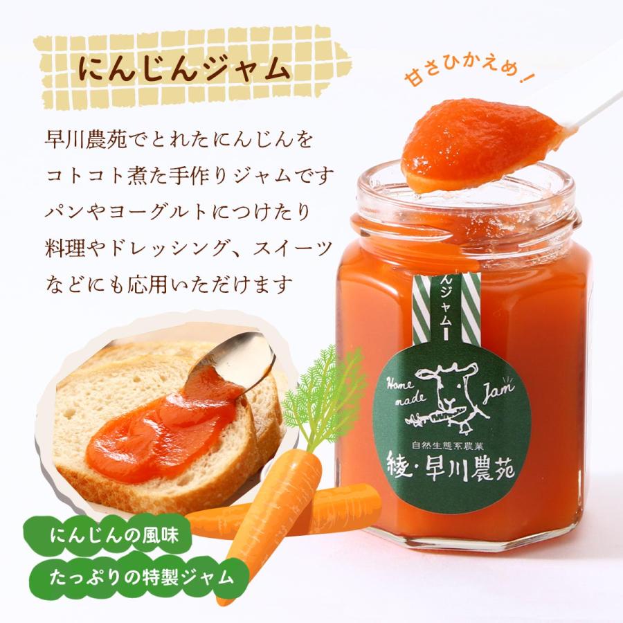 シードカルチャー] ジャム 綾・早川農苑 にんじんジャム 140g /野菜
