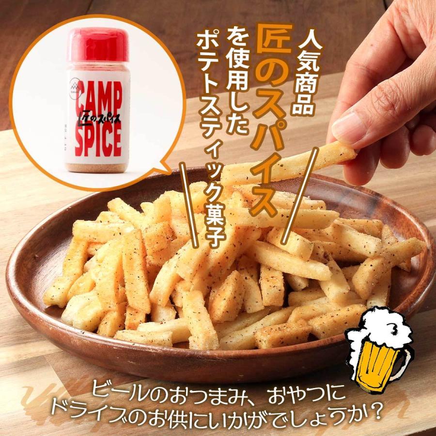 KoKoRo] 菓子 匠のスパイス ポテトスティック 100g/ポテト/おかし