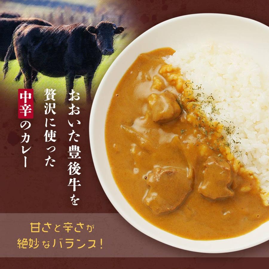 レトルトカレー 佐伯海産 至福の翼カレー 中辛 200g /人気 レトルトカレー 佐伯海産 至福の翼カレー 中辛 200g /人気
