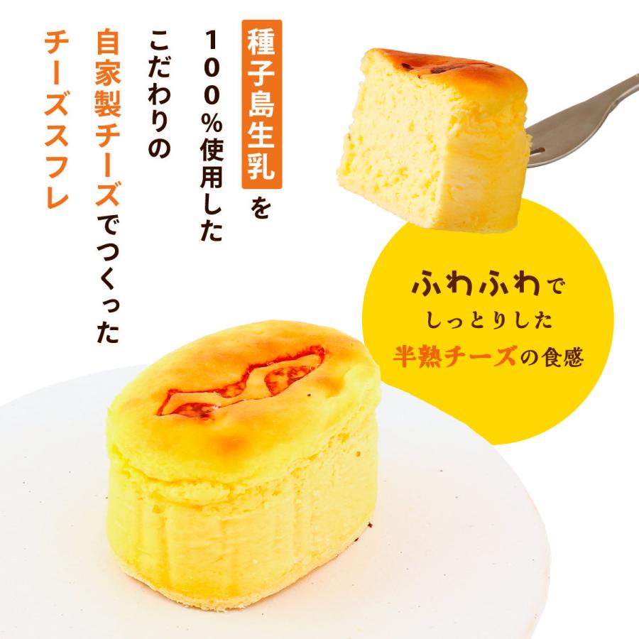 チーズスフレ [菓子処渡辺] 半熟チーズスフレ 5個入り 190g