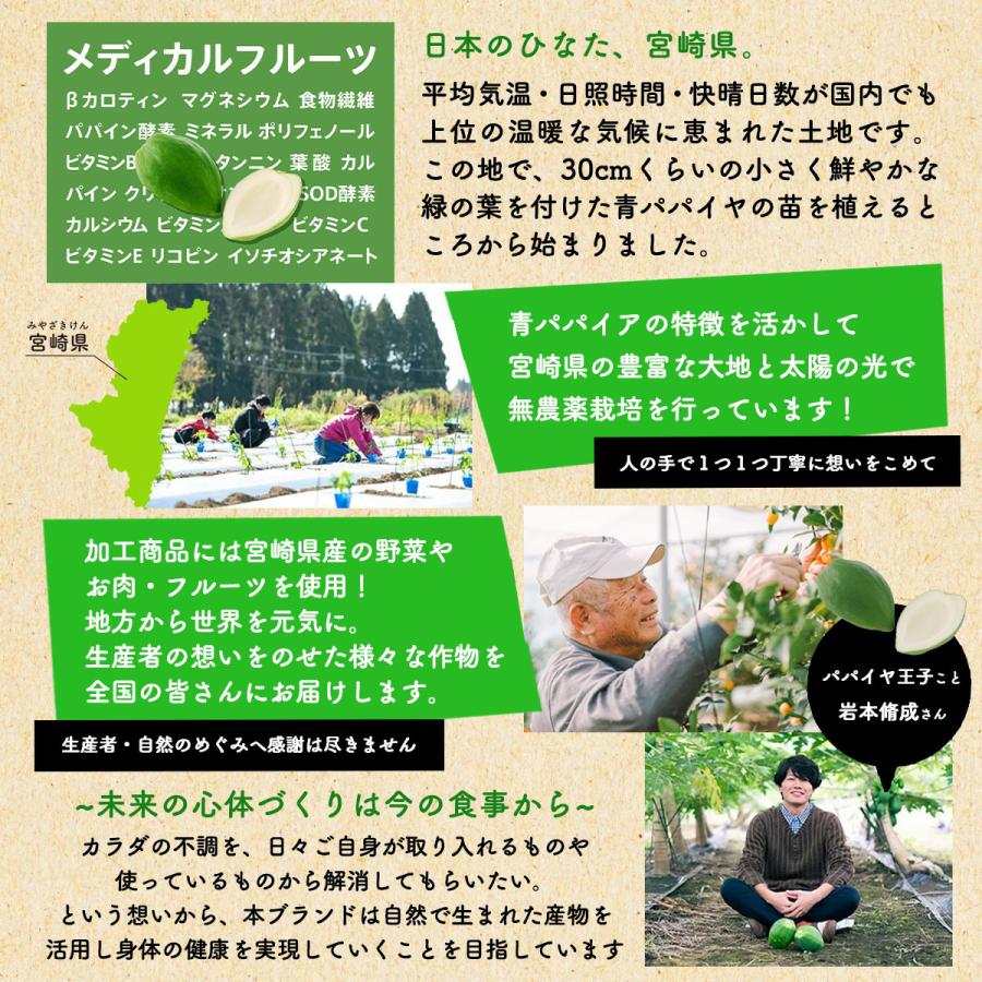 [パパイア王子] パパイア粉末 MIYAZAKI GREEN PAPAYA POWDER  Kawa Goto Green Papaya 50g/青パパイア/パウダー/スーパーフード/粉/酵素/腸活｜nipponmarche｜07
