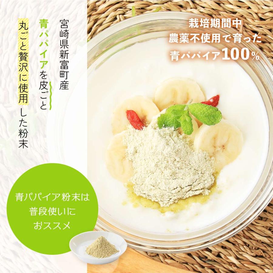 [パパイア王子] パパイア粉末 MIYAZAKI GREEN PAPAYA POWDER Kawa Goto Green Papaya 100g/青パパイア/パウダー/スーパーフード/粉/酵素/腸活｜nipponmarche｜03