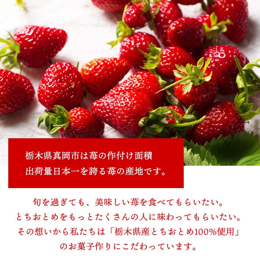 いちご菓子 [静風] 恋するいちご プレミアム 15個 /ギフト フリーズ