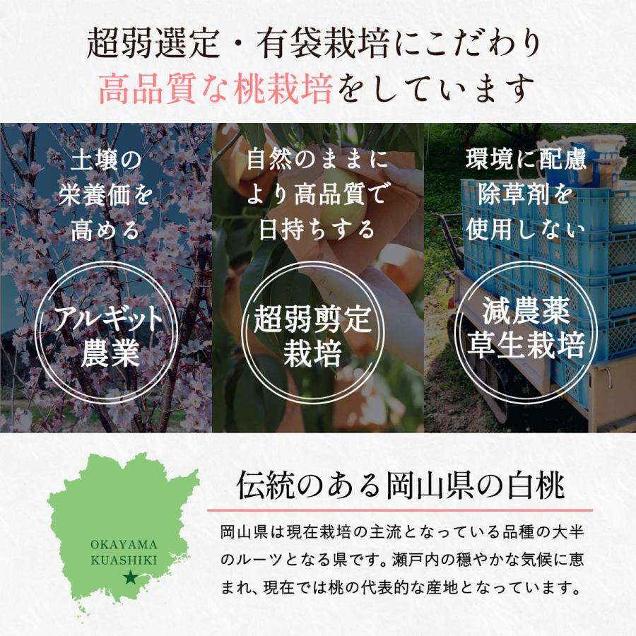 もも [果樂] 水熟桃・プレミアムGIFT（SUI JYUKU BRAND）清水白桃大玉 2個/岡山県産 白桃 水熟桃 極上甘さ みずみずしい果実 完熟 贅沢 特別な桃 ギフト 果楽の画像