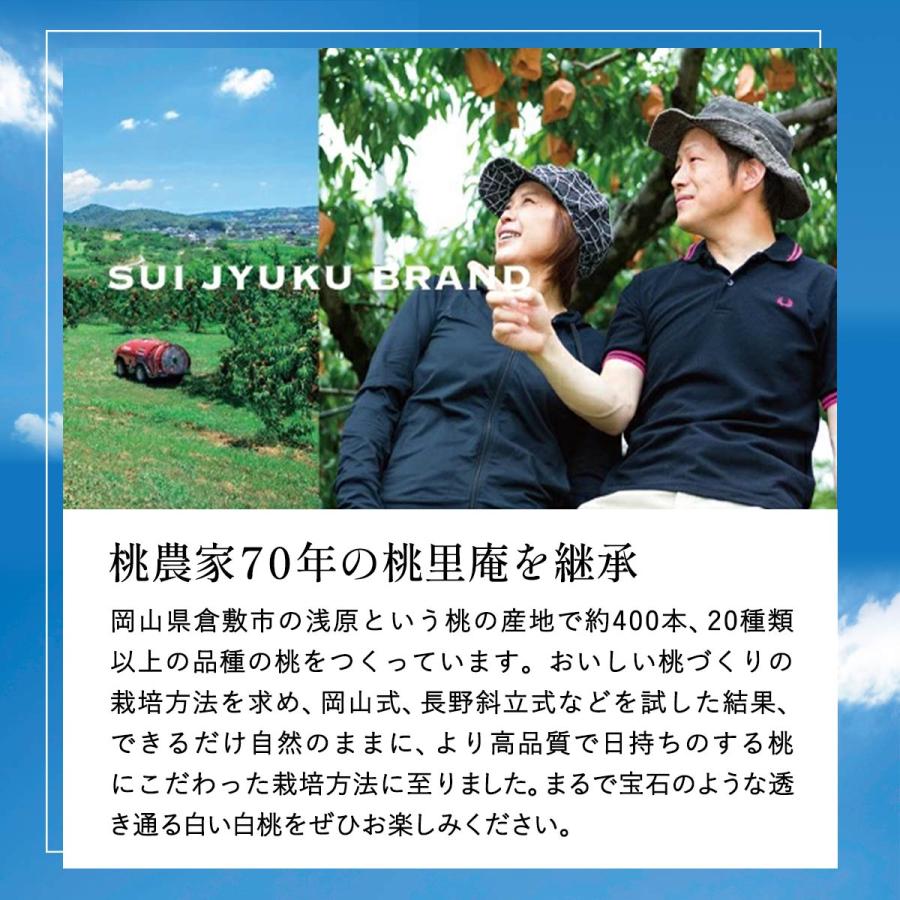 もも [果樂] 水熟桃・プレミアムGIFT（SUI JYUKU BRAND）清水白桃大玉 2個/岡山県産 白桃 水熟桃 極上甘さ みずみずしい果実 完熟 贅沢 特別な桃 ギフト 果楽の画像