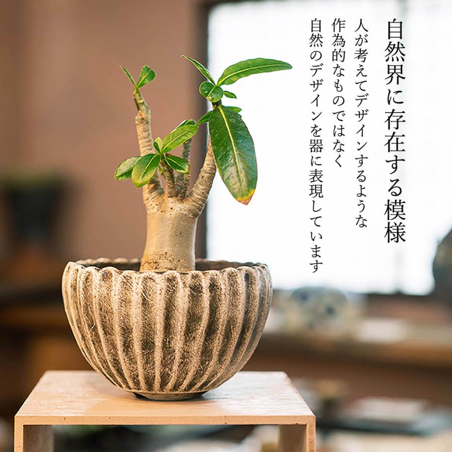 [宝寿窯] 木に見える陶器のお皿 [cerawood (流木) 皿 ] / 工芸品 陶器 /工芸品/焼き物/食器/宝寿窯/武雄/陶器/磁器/山本/伝統工芸品/黒髪山/器/陶器市/佐賀｜nipponmarche｜08