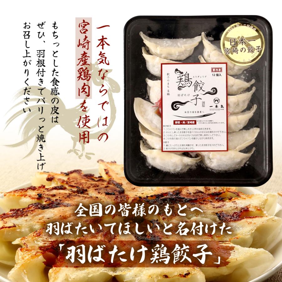 [鶏専家一本気] 餃子 羽ばたけ鶏餃子 240g(12個) /羽根ぎょうざ 羽付き餃子 ぎょうざ ギョウザ 鶏餃子 鶏ぎょうざ 冷凍餃子 お店 ...