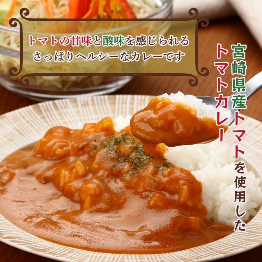 [宮崎経済連直販] レトルトカレー みやざきトマトカレー160g /宮崎県 ご当地カレー レトルトパウチ とまと 昼食 夜食 非常食 備蓄｜nipponmarche｜02