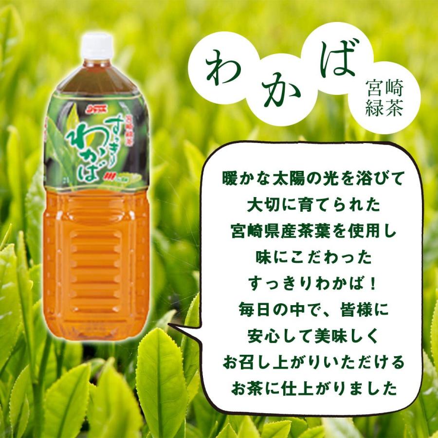 宮崎県農協果汁(サンA)] 緑茶 【ケース販売】 すっきりわかば 2L×6本