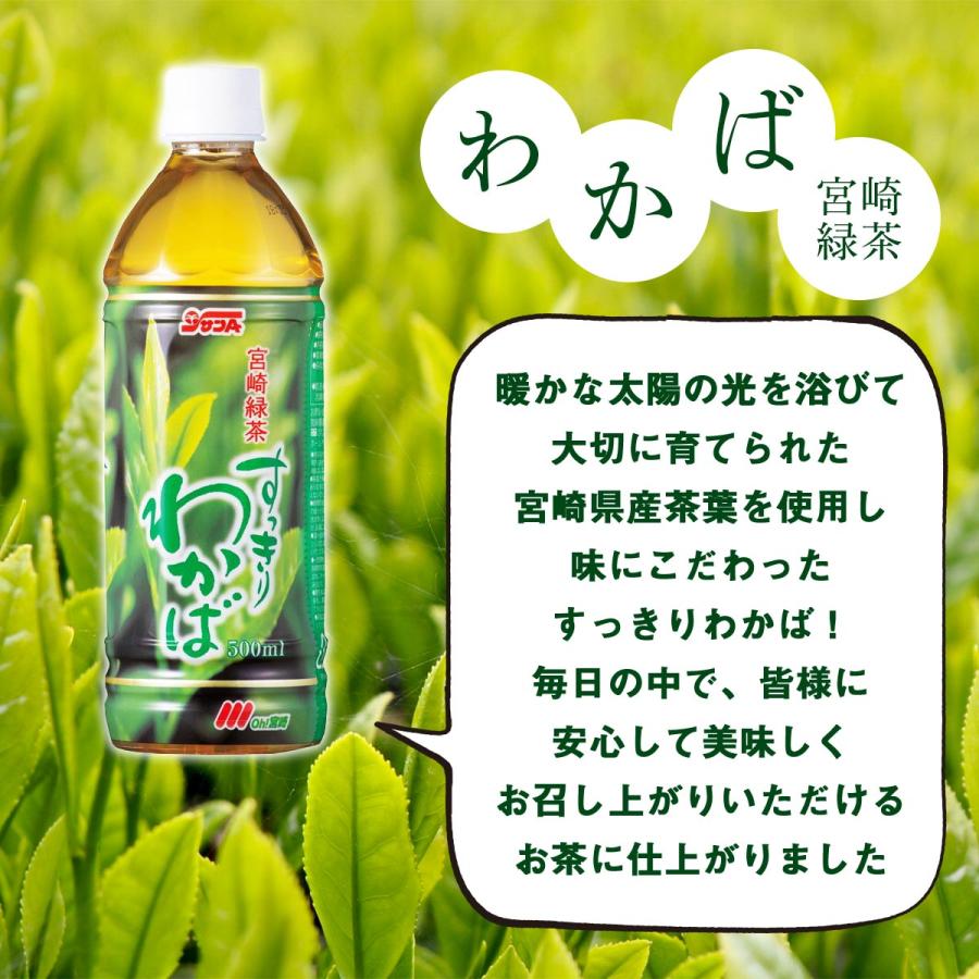 [宮崎県農協果汁(サンA)] 緑茶 【ケース販売】すっきりわかば (お茶) 500ml×24本 /宮崎県 緑茶 お茶 ペットボトル まとめ買い 箱買い ケース買い 備蓄｜nipponmarche｜03