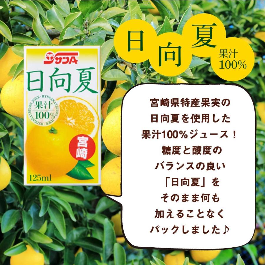 送料無料 [宮崎県農協果汁(サンA)]【ケース販売】日向夏ジュース100