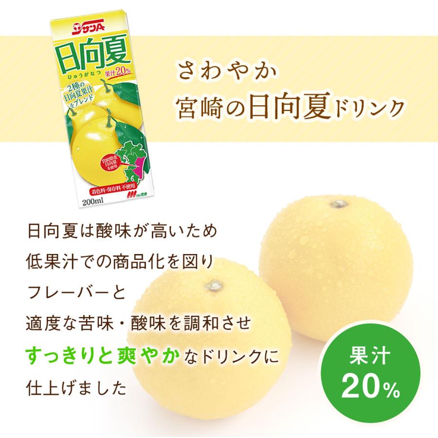 送料無料 [宮崎県農協果汁(サンA)] 【ケース販売】 日向夏ドリンク